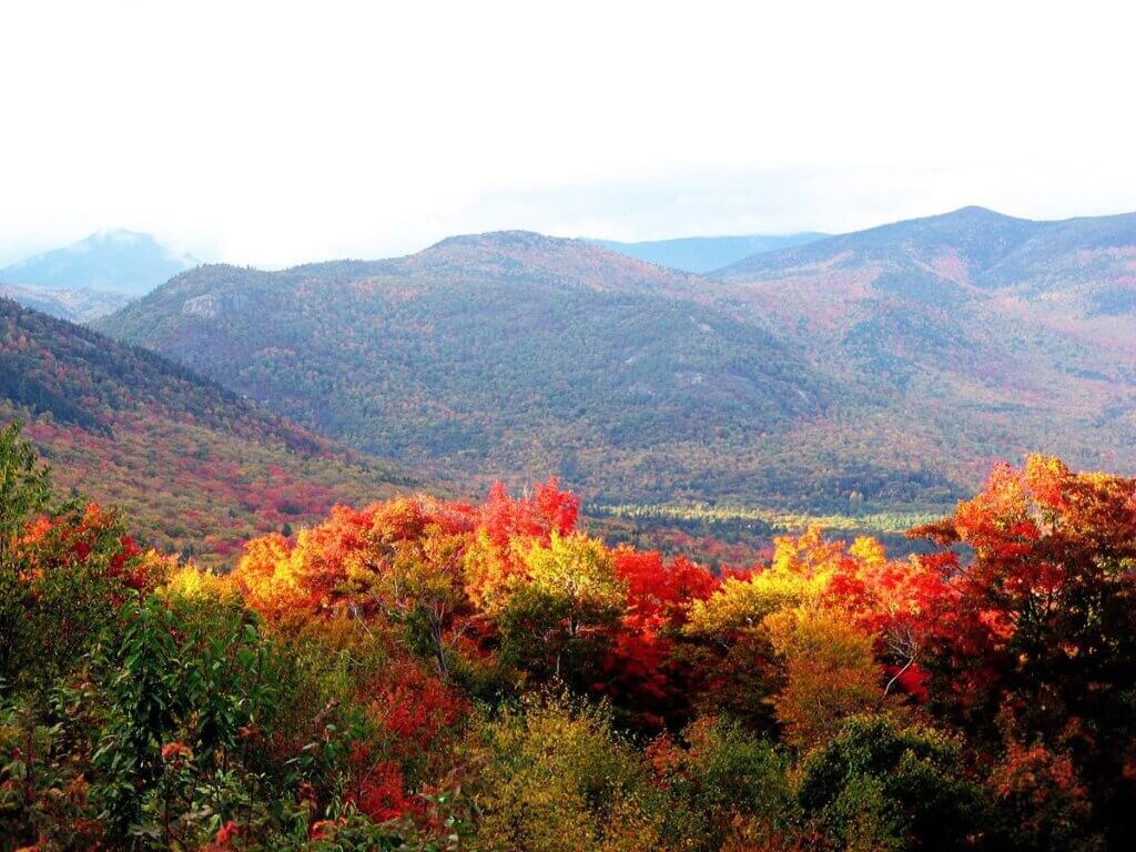 Picture of autumn foliage in New Hampshire