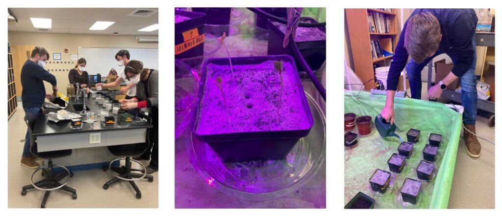 NHTI Students participate in the Plant the Moon and Plant Mars projects.
